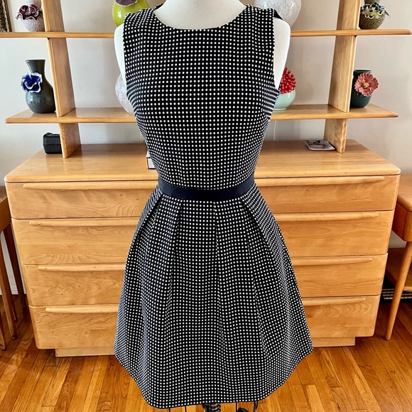 Erin Fetherston Size 4 Polka Dot Black and White Fit Flare Dress Sleeveless - Picture 1 of 16